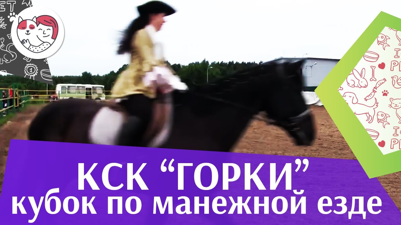 Летний кубок КСК Горки по манежной езде КЮР часть 5 на ilikepet