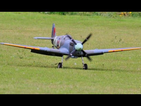 FREEWING SUPERMARINE SPITFIRE mk IX - 1600mm W/SPAN - ROB - 2025
