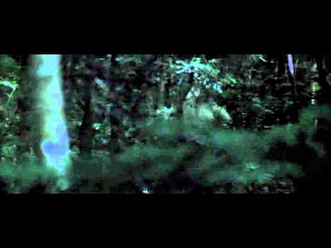 Last of the Mohicans scene - The Courier