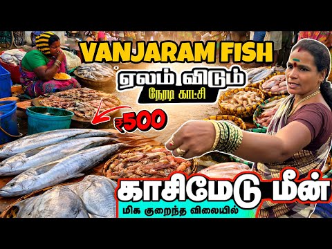 Chennai Kasimedu Fish Market at 4Am 🔥Vlog 🐟 | Vanjaram, Prawn, Crab Prices🫰🏻