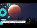 De superbloedmaan was vannacht heel goed te zien