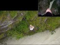 Bungee Jump - Niouc (swiss) 190m