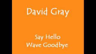 David Gray - Say Hello Wave Goodbye/Gathering Dust/Just Like Tom Thumb Blues (Live)