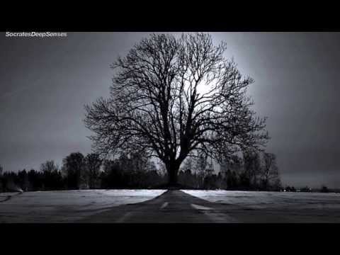 Seidensticker & Salour - Moonlight Shadow [Visionquest]