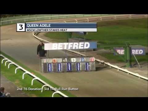 2018 MSCM LOWTHER STAKES - HEAT 4 - T3 QUEEN ADELE