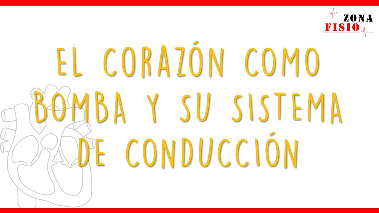 FISIOLOGÍA: EL CORAZÓN COMO BOMBA Y SU SISTEMA DE CONDUCCIÓN