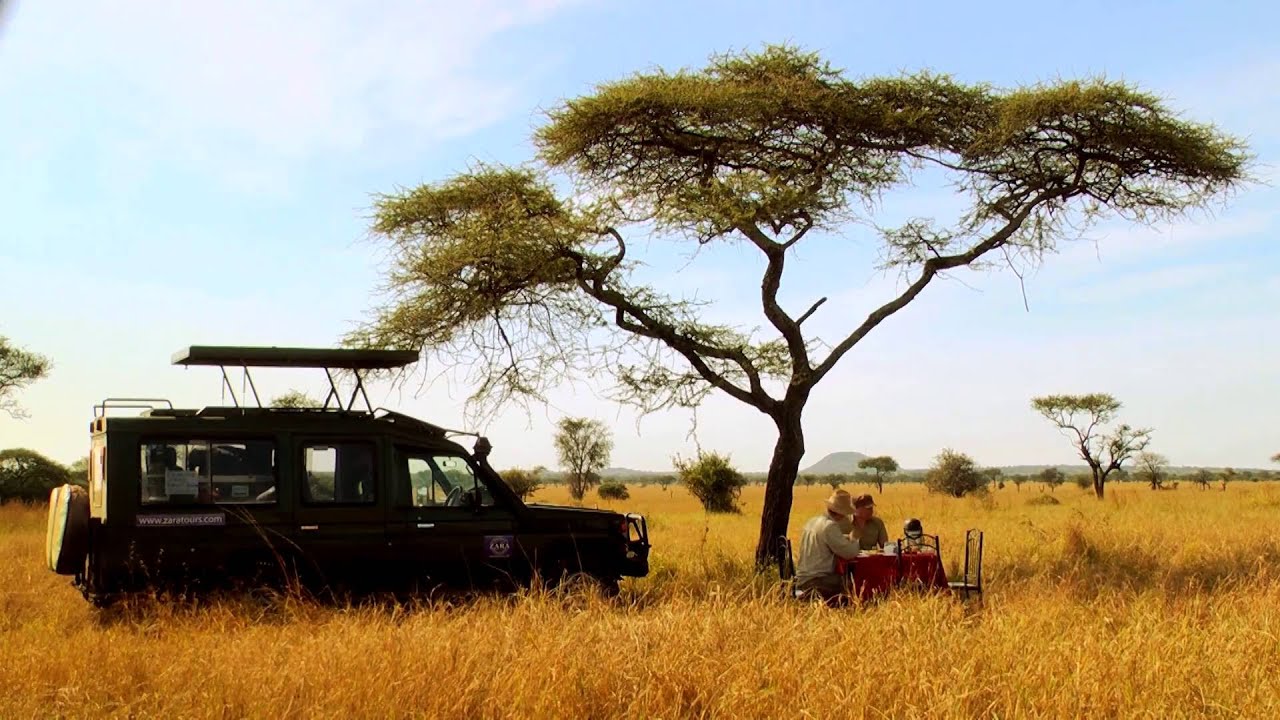 Tansania: Serengeti Natur Picknick (2:04)