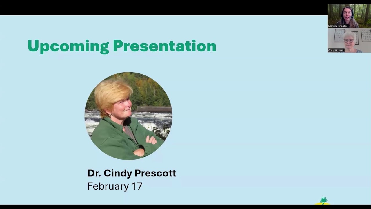 Managing Forests for Soil Life