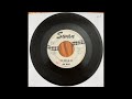 Link Wray - "Girl From The North Country" b/w "You Hurt Me So" (1965) Shawnee