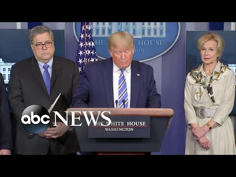 トランプ大統領はアメリカ経済を崩壊させないための決意を語る (President Trump says he's determined to keep American economy from collapsing)