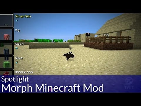 Spotlight: Morph Minecraft Mod