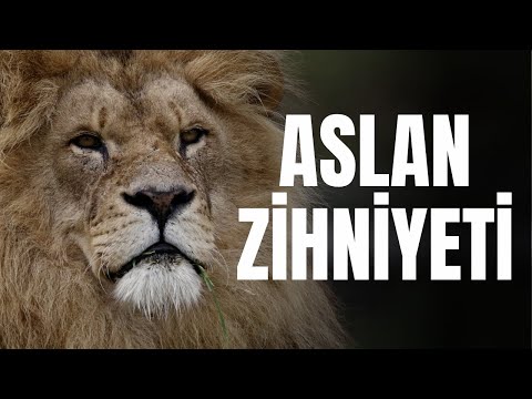 ASLAN ZİHNİYETİ I Bu Zamana Kadar Dinlediğiniz En Sert Motivasyon Konuşması