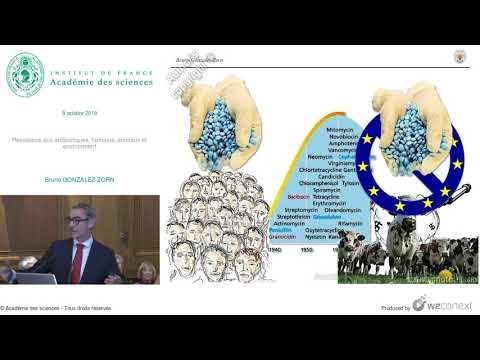 [Conférence] B. GONZALEZ-ZORN - Résistence aux antibiotiques: humains, animaux et environment