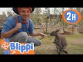 Blippi Visits San Diego Zoo Animals For Kids Animal Cartoons Funny Cartoons Learn About Animals