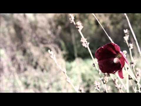 Porque Tu Eres Mi Señor por Magally