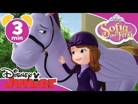 Magical Moments | Sofia the First: Minimus The Flying Pony | @disneykids
