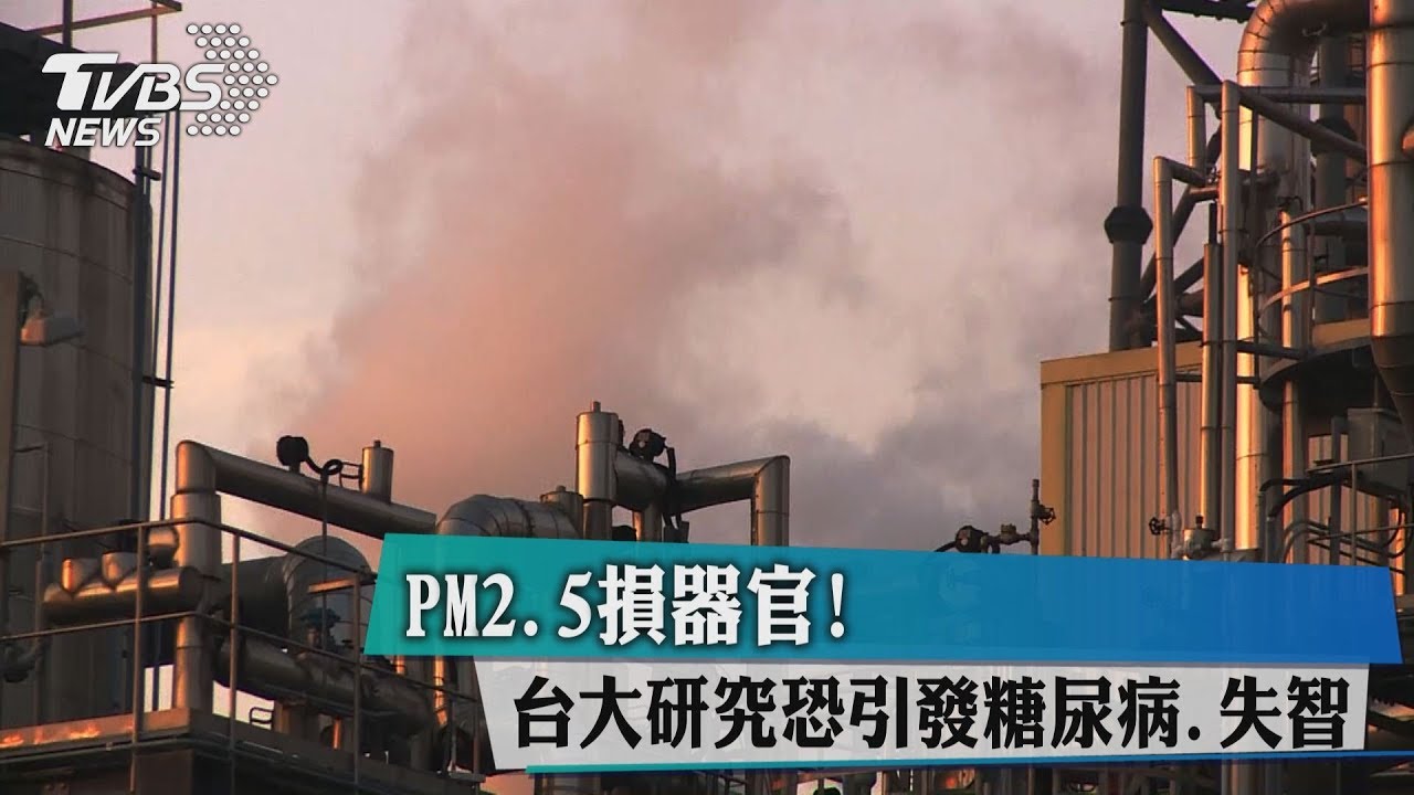 PM2.5損器官！　台大研究恐引發糖尿病、失智