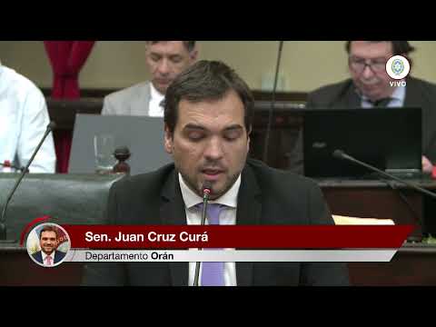 Senador Juan Cruz Curá - Carta Organica de Colonia Santa Rosa