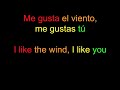 Manu Chao “Me gustas tú” (lyrics in Spanish / English)