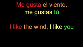 Manu Chao “Me gustas tú” (lyrics in Spanish / English)