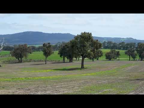 315 Coach Road, Strathbogie, VIC 3666, 0 Bedrooms, 0 Bathrooms, Lifestyle Property
