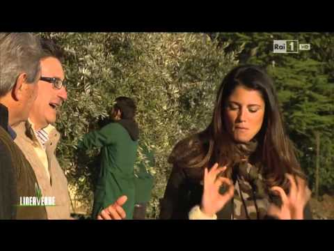 Dolore al collo di ernia Dolore al mattino