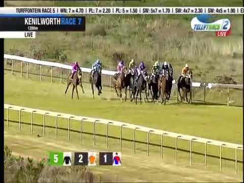 Greenflashsunset wins in SAF Kenilworth