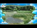 The Amazing World Baby Tv Peacock