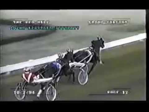 1994 Lexington Red Mile BULLVILLE VICTORY Kentucky Futurity Race Off