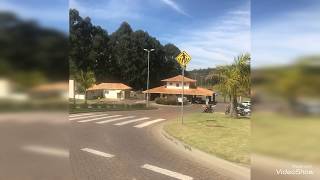 Península dos Pássaros