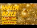 Shreem Brzee Mantra 9 HOURS!! 1080 Times Dr Pillai Mantra
