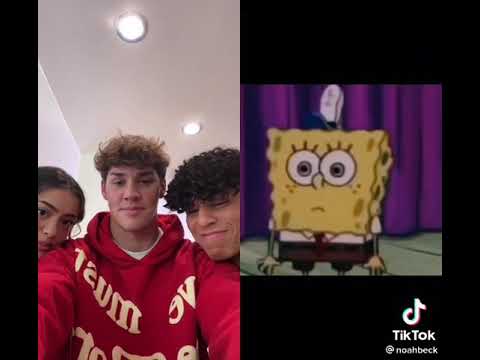 Larray, Noah Beck, & Nailea Devora Do A Try Not To Laugh Challenge On TikTok