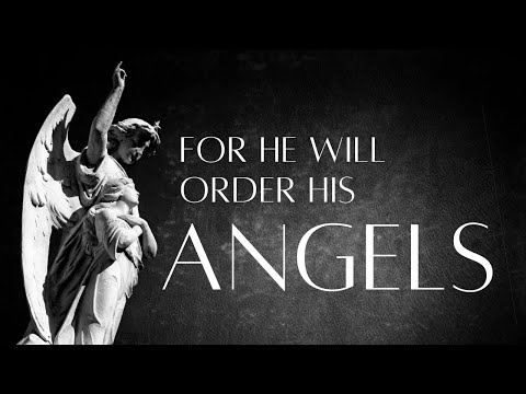 Witness21 Editor  2019 08 28