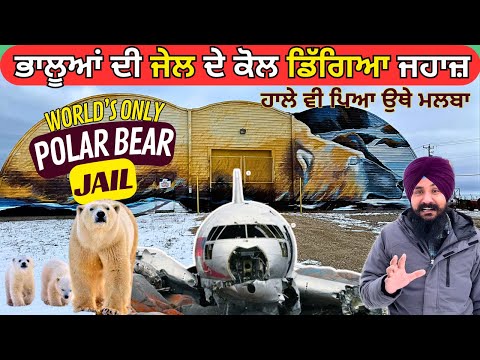 ਭਾਲੂਆਂ ਨੂੰ ਵੀ ਕੱਟਣੀ ਪੈਂਦੀ ਜੇਲ 😳Miss Piggy ਜਹਾਜ ਦਾ ਮਲਬਾ, Polar Bear Jail, Plane Wreck, Churchill - MB