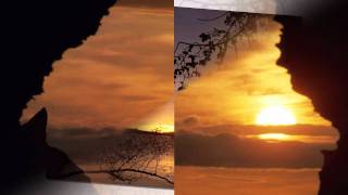 In The Arms Of His Love -  Women Of Faith -