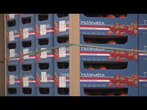 download lagu mp3 mp4 Lidl Waddinxveen Distributiecentrum, download lagu Lidl Waddinxveen Distributiecentrum gratis, unduh video klip Lidl Waddinxveen Distributiecentrum