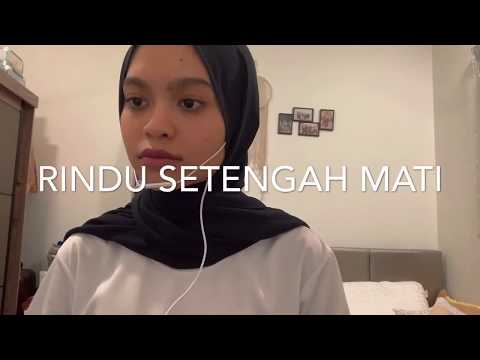 Rindu Setengah Mati - D’Masiv (Covered by Wani Annuar)