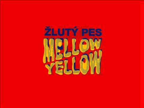 Žlutý Pes - Free Bird