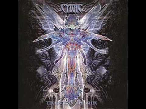 Cynic - The Unknown Guest