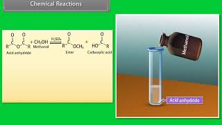 Alcohols, Phenols and Ethers Part II Class 12 Chemistry