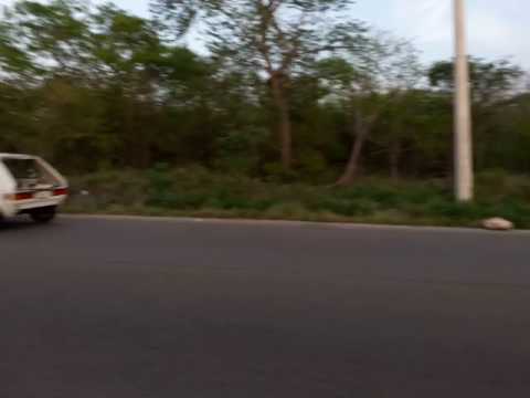 Caribe 2.0 16v slicks test!1