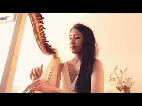 Variations on Mozart's from ”Joseph Haussler - Theme  Harp by Ailing Sai