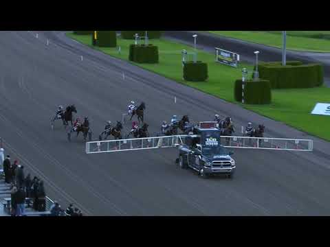 Svenskt Trav- Oaks Lara Boko