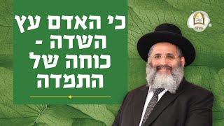 כי האדם עץ השדה - כוחה של התמדה | הרב ישראל אברג'ל שליט"א