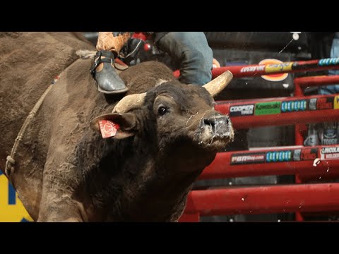 WRECK: Mike Lee gets slammed by Long John (PBR)