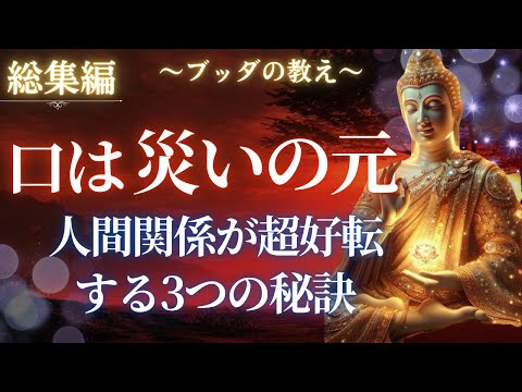 露出は庭エリアで行われ、日の一部に太陽が当たります