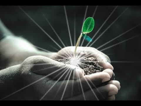 PUIU CHIBICI ŞI RAMONA IBĂNESCU – Dintr-o mână de ţărână