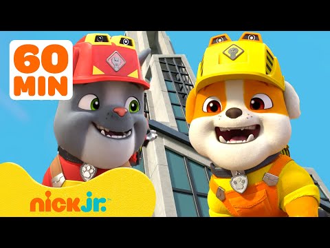 Rubble | Melhores momentos do Rubble nos novos episódios de Rubble & Crew! 👷‍♂️ | Nick Jr.