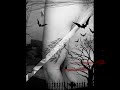 Zaur 050 403 59 20 Tatu