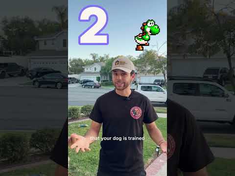 Woofs and Walks Dog Training video.